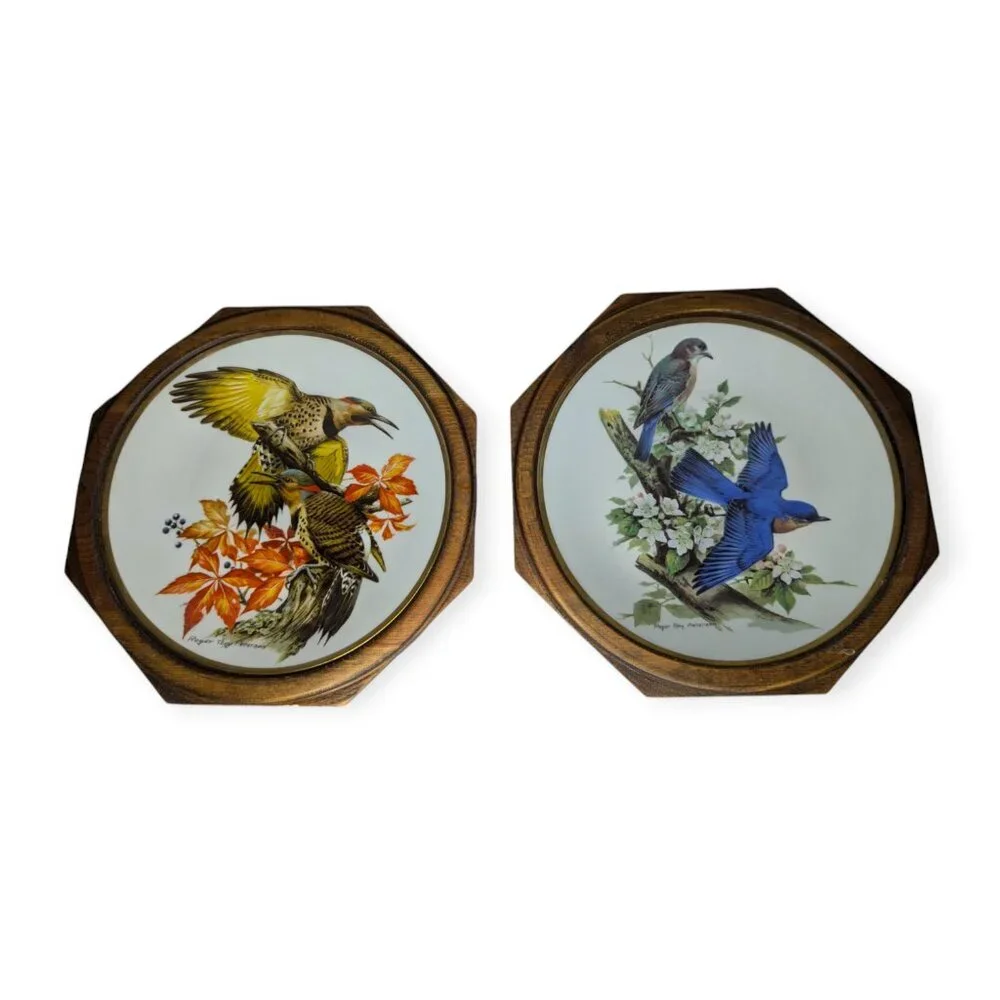 Vintage Roger Tory Peterson Flickers & Bluebird Ceramic Plates Framed 24 kt Gold